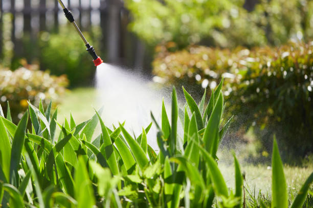 24/7 Emergency Rodent Control experts in Prien, LA