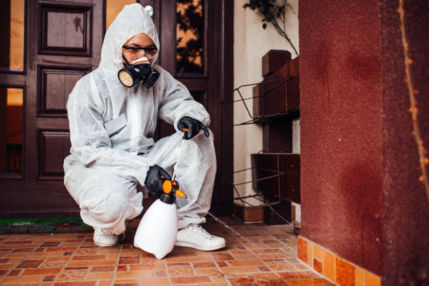 Reliable Rodent Control contractor in Prien, LA by Nex Pest Control