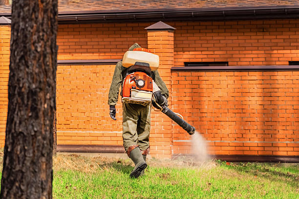 Trusted Cockroach Control service in Prien, LA - Nex Pest Control